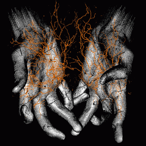 Counting Blessings on Broken Fingers